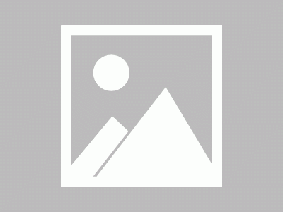 德国大学,普福尔茨海姆应用技术大学