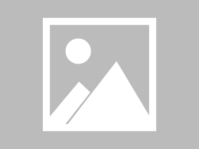 新加坡澳斯顿学院