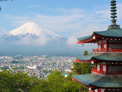 日本留学签证电调几率?