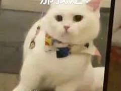 可以凭借语言考试成绩领福利? 还不快来“薅羊毛”!!!