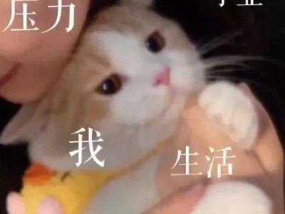 原来雅思还可以用来考研、考公和就业哦!
