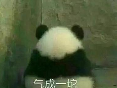 都什么年代了，还有人说澳洲、新西兰留学拼不过985、211？